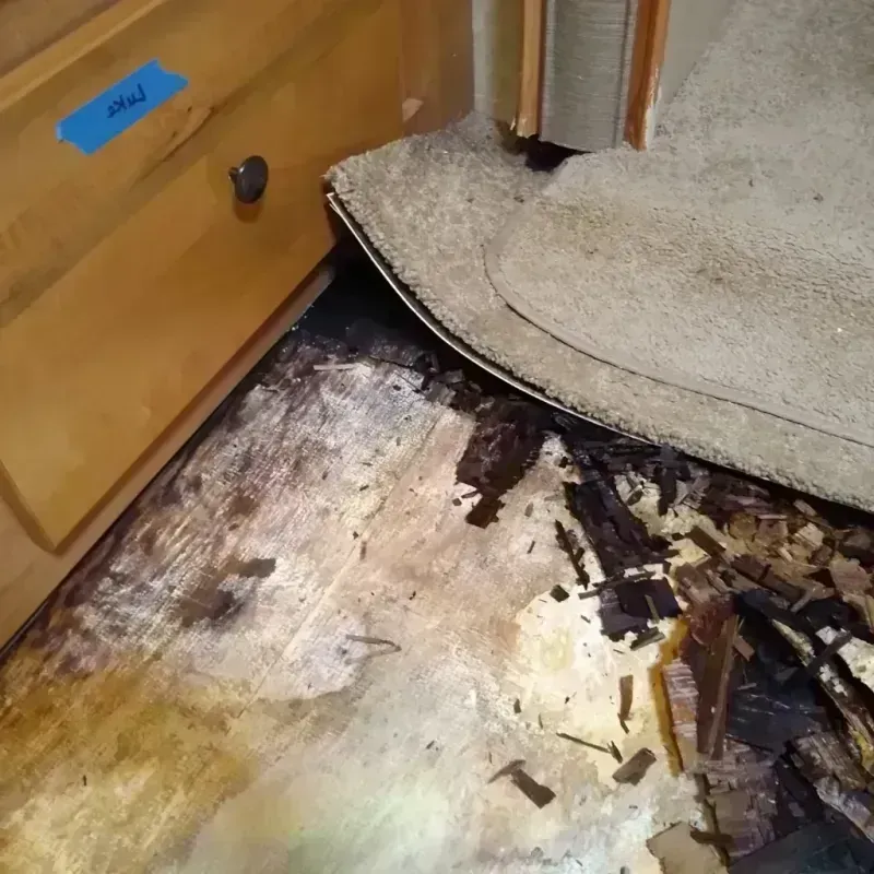 Best Wood Floor Water Damage Service in Sheffield, PA